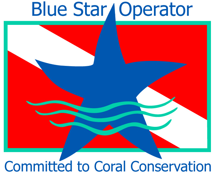 Blue Star Operator Coral Conservation
